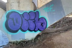 drib-19