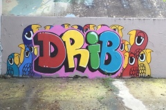 drib-2