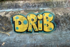drib-23