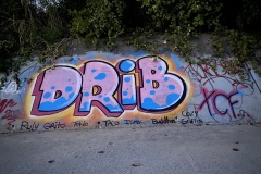 drib-41