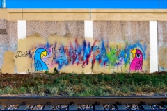 drib-5