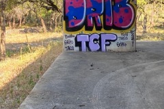 drib-6