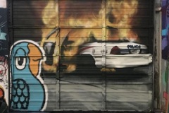 drib-7