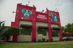 DSC08546-1