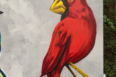 cardnial