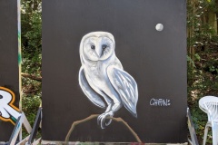 owl