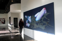 13-marcella_colavecchio-1